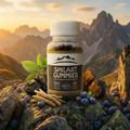 Shilajit Gummies (60)